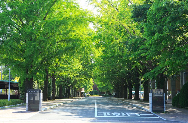 学園大入試制度