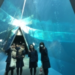 19779D67-18F7-4DB4-ADBE-8A62E0D3B119.jpeg