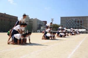 261A2315.JPG