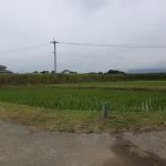 261A4606.JPG