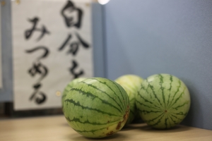 261A6555.JPG