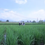 261A6704.JPG