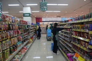 261A7017.JPG