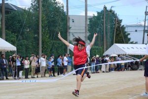 261A9233.JPG