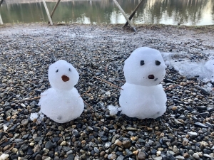 5EC68381-F594-4F29-BB83-7BC00225C295.jpeg