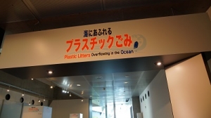 DSC03912.JPG