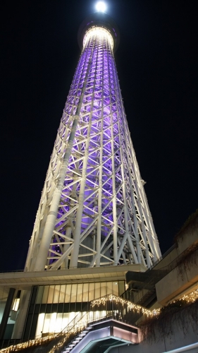 DSC03977.JPG
