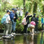 DSC09742.JPG