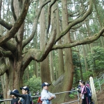 DSC09785.JPG