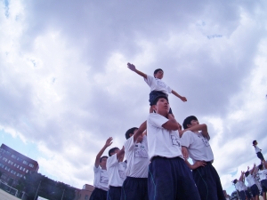 PA071355.JPG