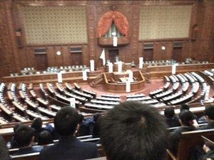 image1.jpeg